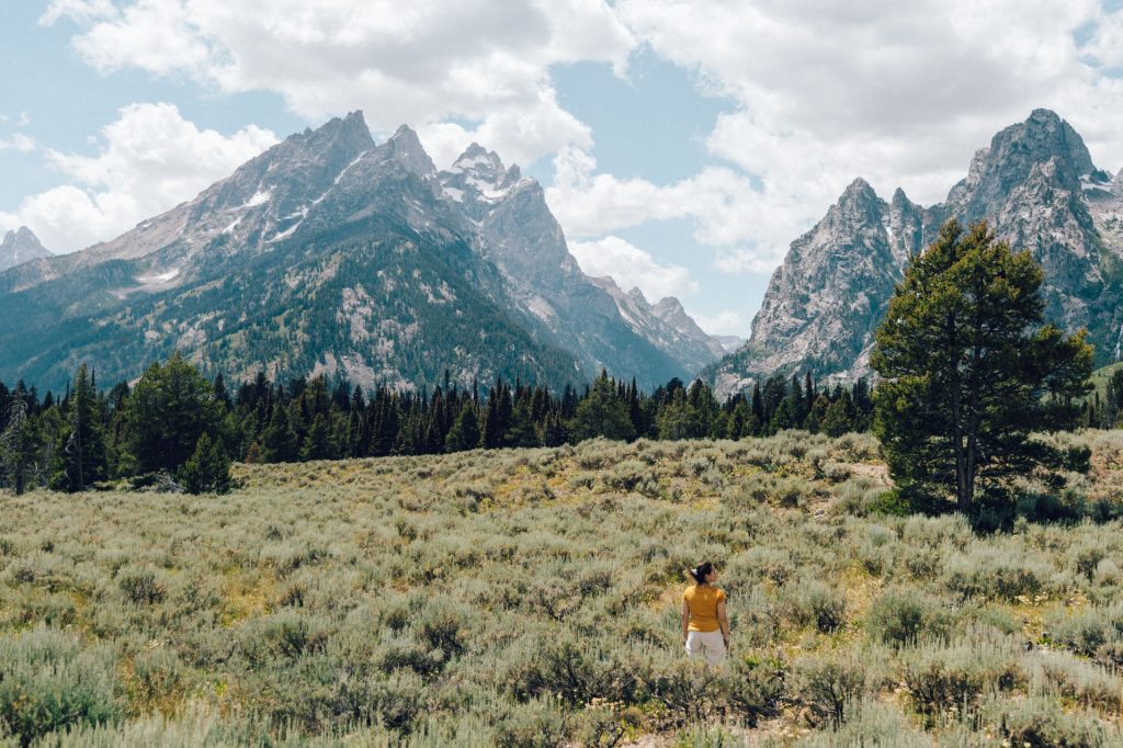 que faire à grand teton national park