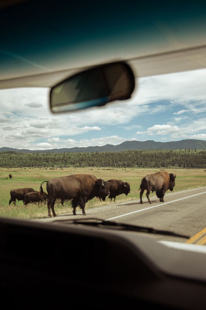 road trip en van aux etats unis