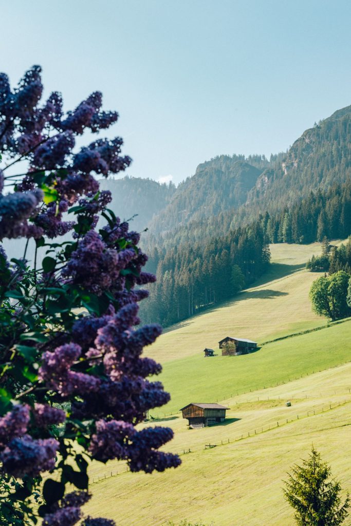 fermes alpbach