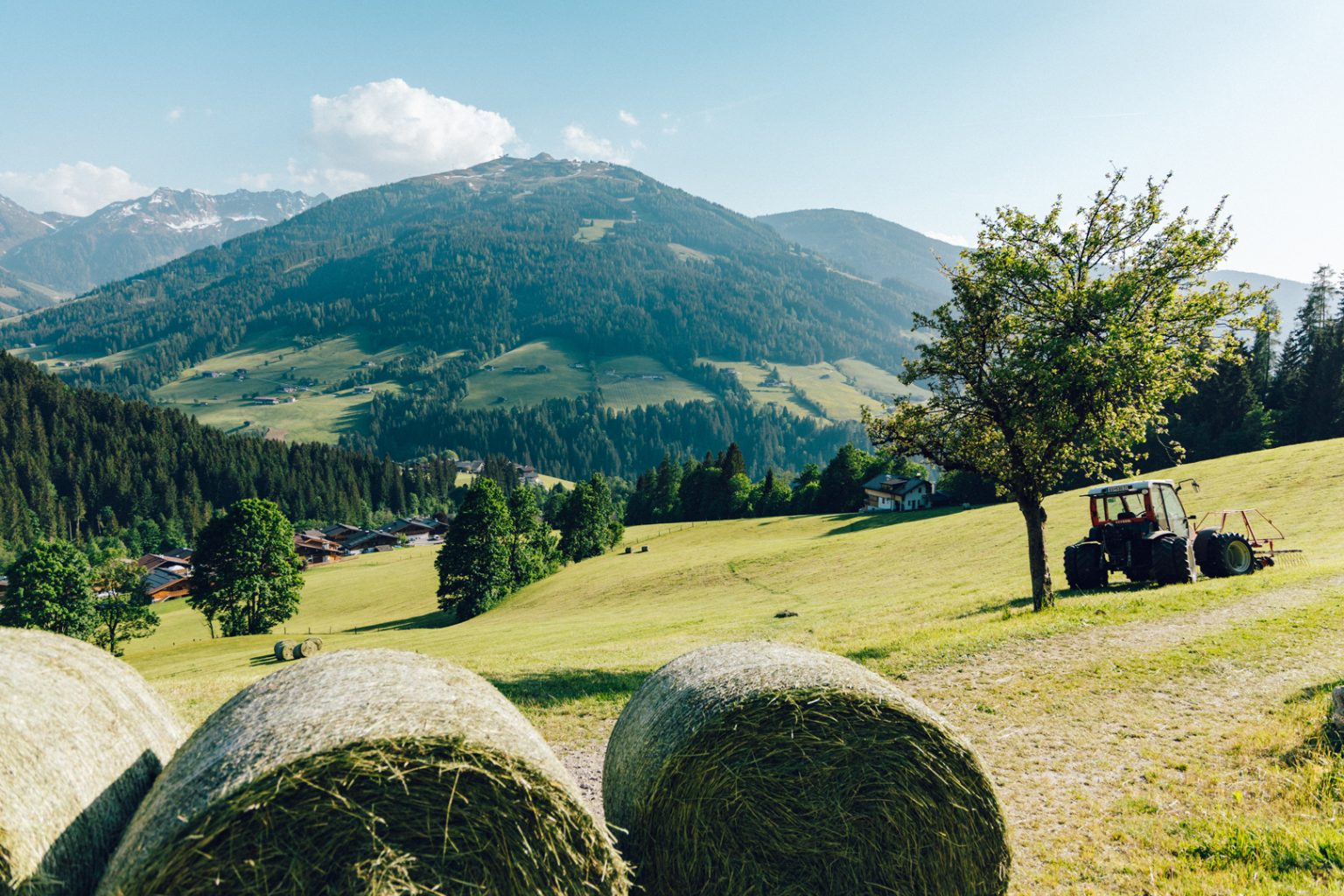 prairie estivale alpbach