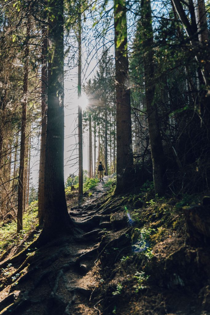 randonnee foret alpbach
